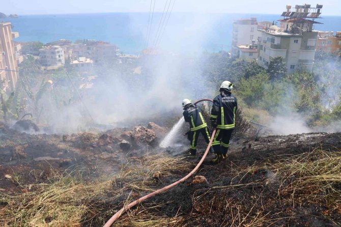 Boş arazide yangın çıktı