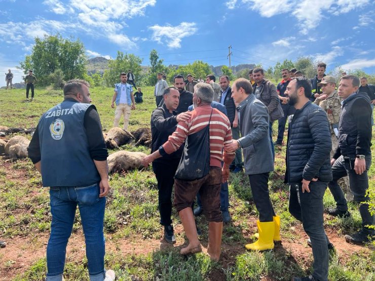 Merada otlayan sürünün üzerine yıldırım düştü; 53 küçükbaş hayvan öldü