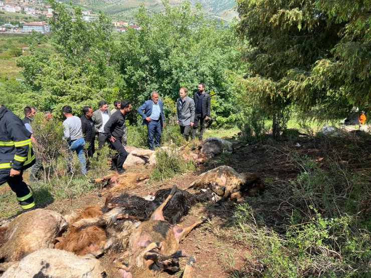 Merada otlayan sürünün üzerine yıldırım düştü; 53 küçükbaş hayvan öldü