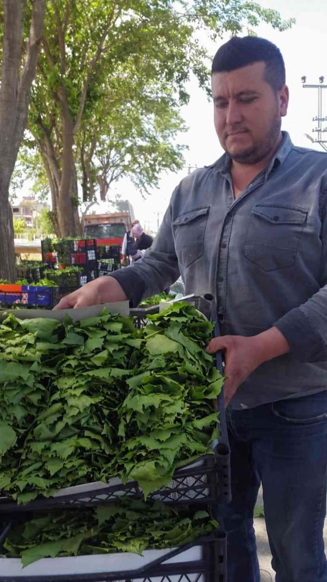 Meyvesinden önce yaprağı gelir kapısı oldu