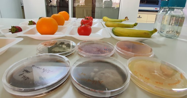 Tarımda yılda 26 milyon ton kaybın önüne geçilecek proje