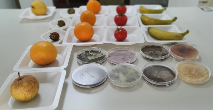 Tarımda yılda 26 milyon ton kaybın önüne geçilecek proje