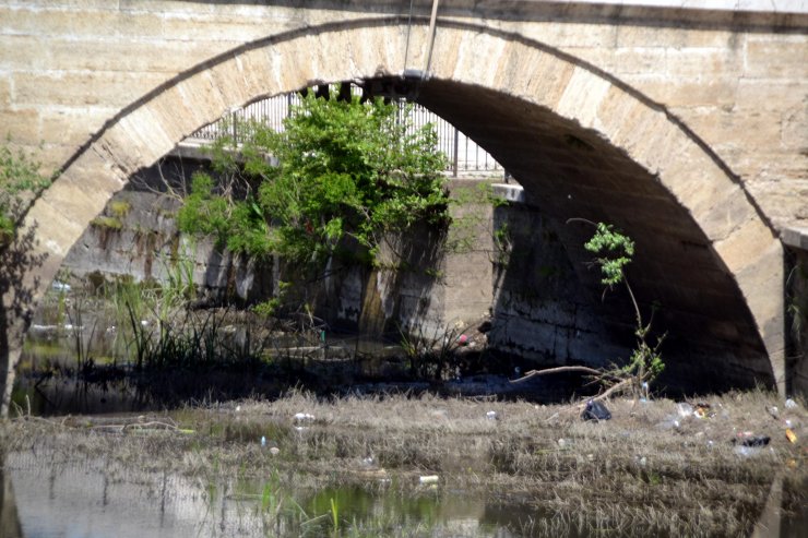 Debisi düşen Tunca Nehri otla kaplandı