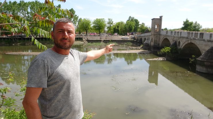 Debisi düşen Tunca Nehri otla kaplandı