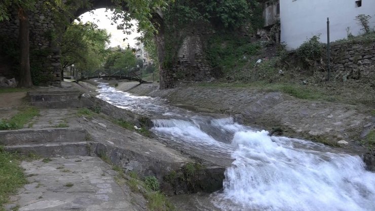 Dereye düşen çocuk ile ardından suya atlayan annesini piknikçiler kurtardı