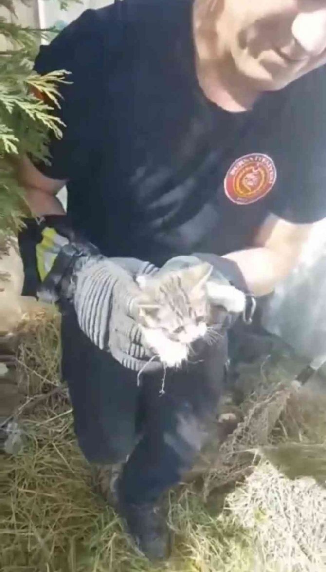 İki duvar arasına sıkışan kediyi itfaiye kurtardı