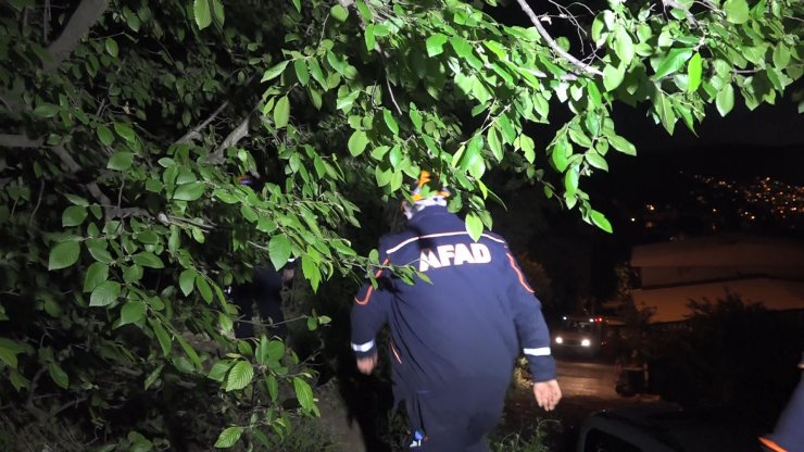 Ormanda kaybolan alzheimer hastası, akıllı saati sayesinde bulundu