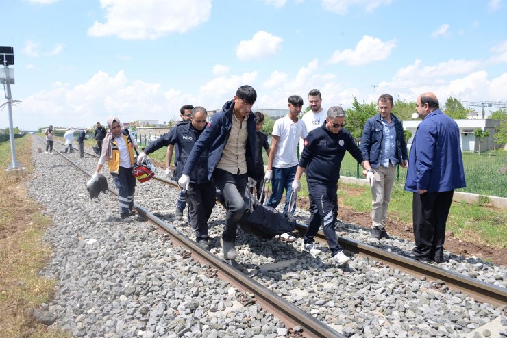 Ray üzerinde başı gövdesinden ayrılmış erkek cesedi bulundu
