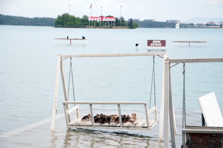 Baraj gölünün seviyesi yükseldi, kafelerin malzemeleri su altında kaldı