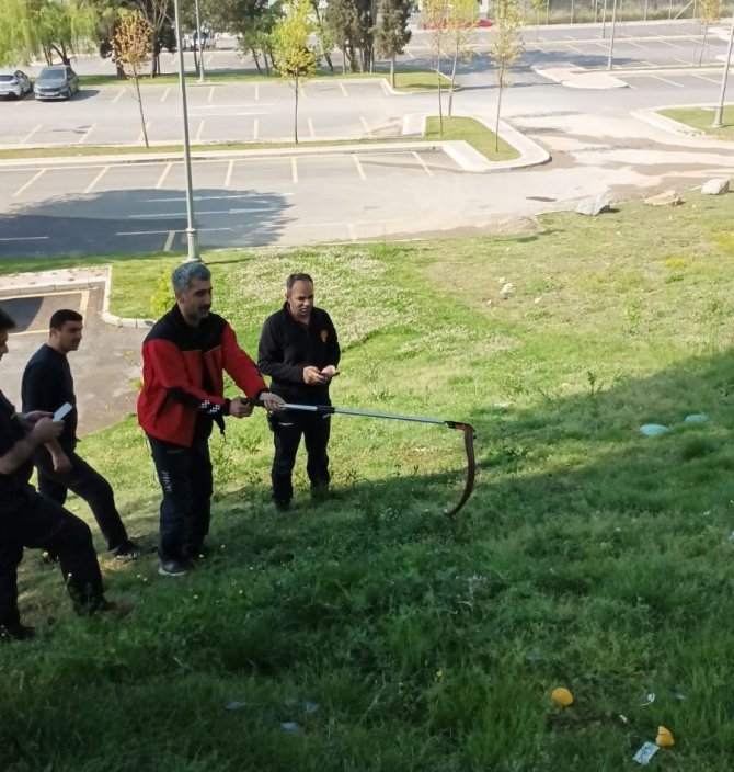 Belediye otobüsünde yılan paniği