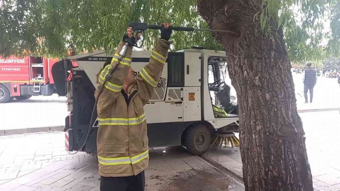 Kovuğuna atılan sigara izmaritinden ağaç tutuştu