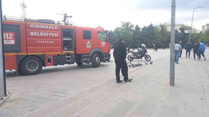 Kovuğuna atılan sigara izmaritinden ağaç tutuştu