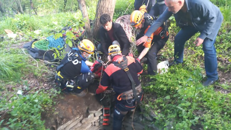 Kuyuya düşen 2 köpeği AFAD kurtardı