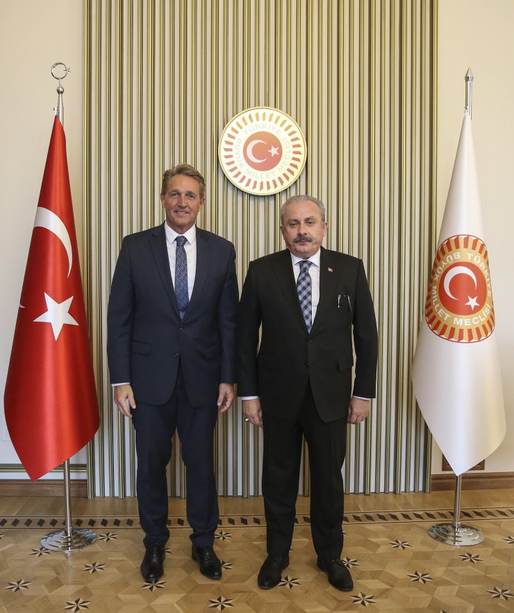 TBMM Başkanı Şentop, ABD Büyükelçisi Flake'i kabul etti