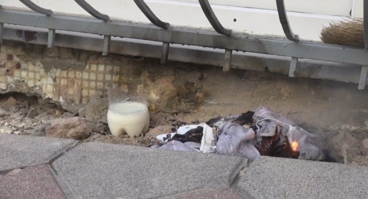 Yılan paniği; dumanla çıkarmaya çalıştılar