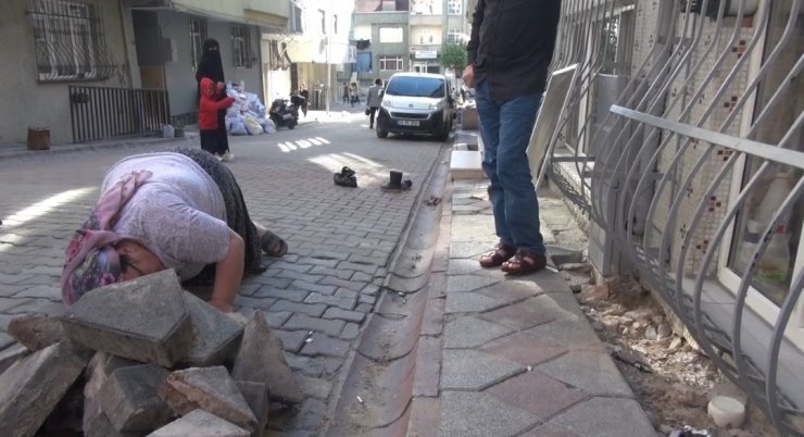 Yılan paniği; dumanla çıkarmaya çalıştılar