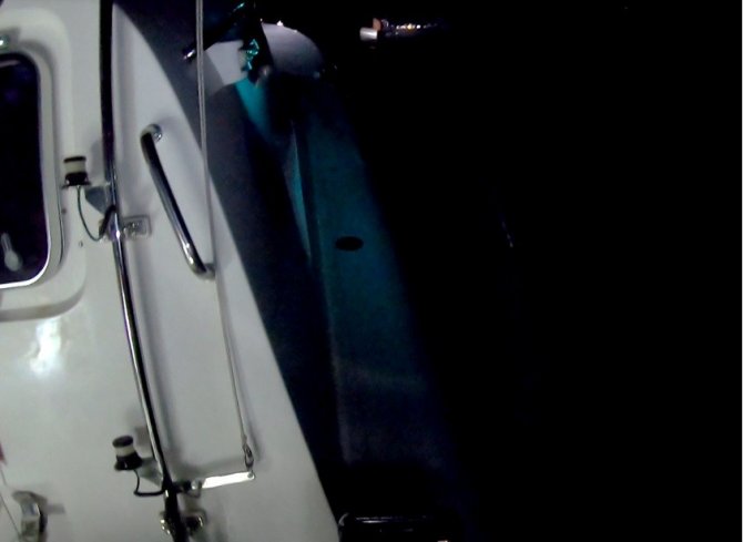 Yunan unsurlarının ittiği 56 düzensiz göçmen kurtarıldı