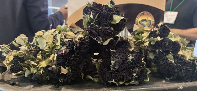 50 metre kare alana bin 500 çiçekli Türk Bayrağı motifi