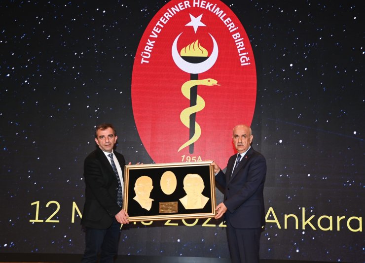 Bakan Kirişci: Sokak hayvanları, gündemde tutulması gereken bir konu