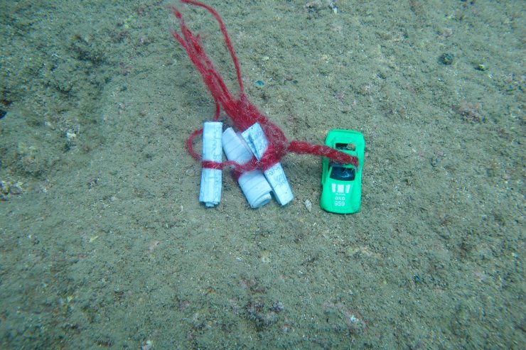 Böyle dilek görülmedi; dudağa dolgu, Bodrum'da yazlık ev