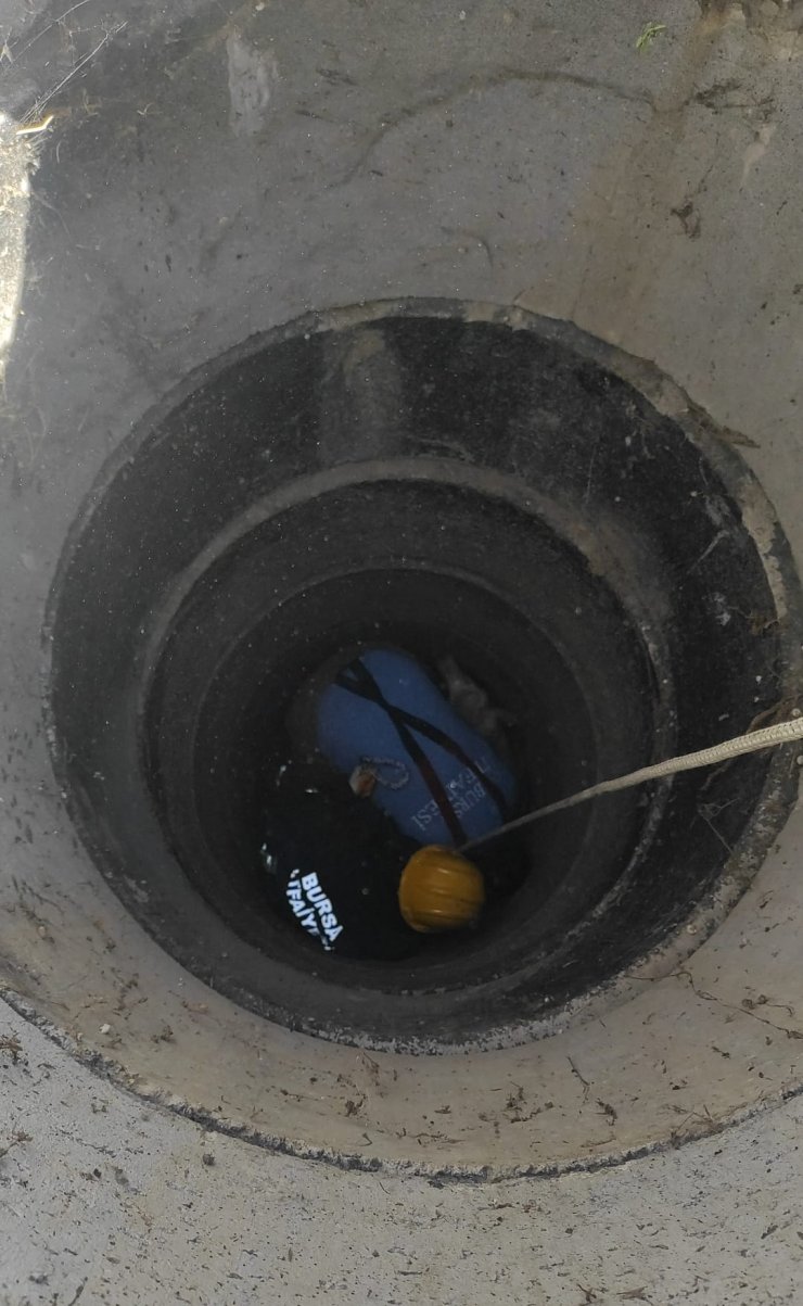 Kapağı çalınan rögara düşen koyunu itfaiye kurtardı