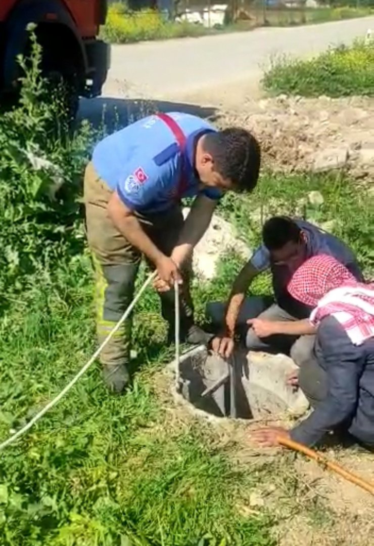 Kapağı çalınan rögara düşen koyunu itfaiye kurtardı