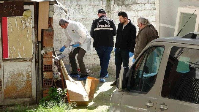 Kayıp kedisini ararken saklanmış bomba buldu