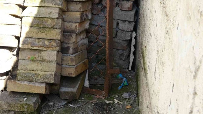 Kayıp kedisini ararken saklanmış bomba buldu