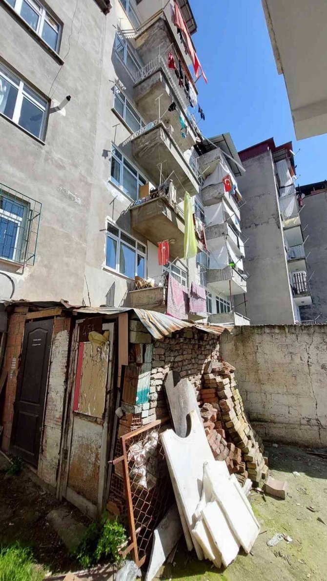 Kayıp kedisini ararken saklanmış bomba buldu