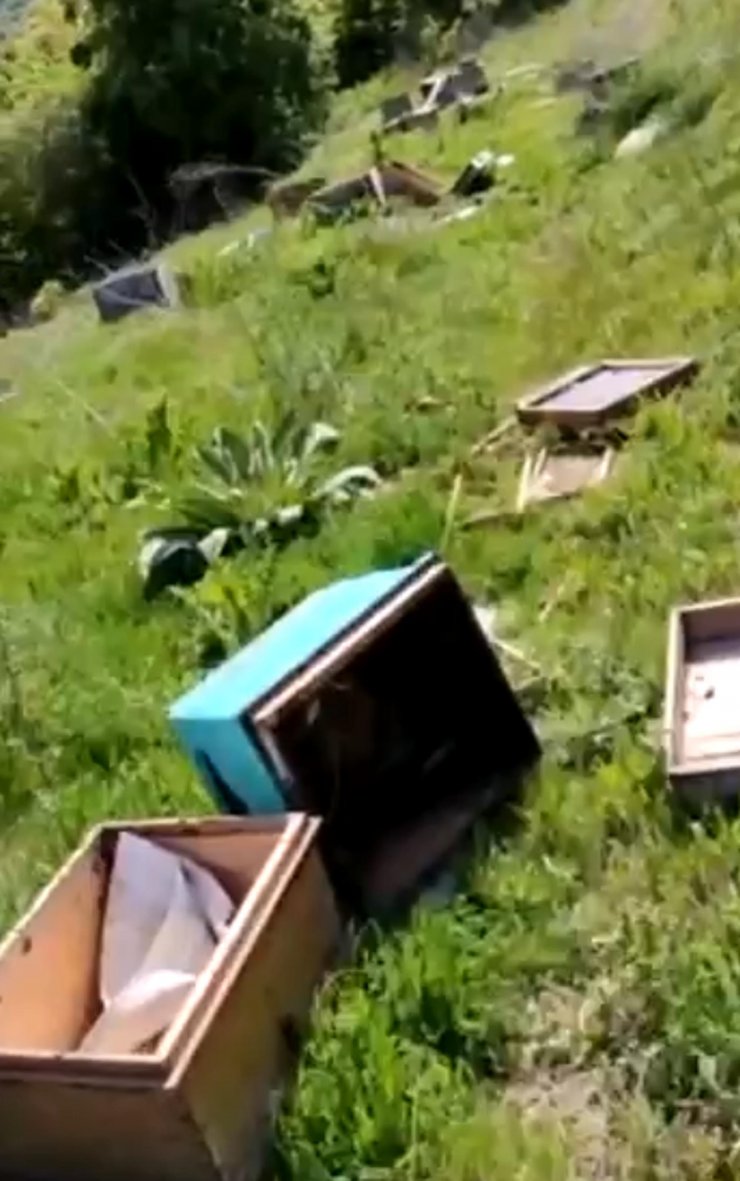 Kovanlara zarar verildi; 4 milyon arı öldü, ana arılar çalındı