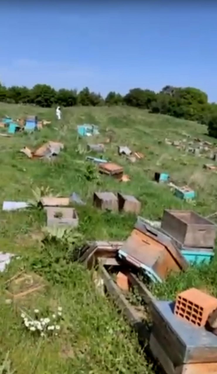 Kovanlara zarar verildi; 4 milyon arı öldü, ana arılar çalındı