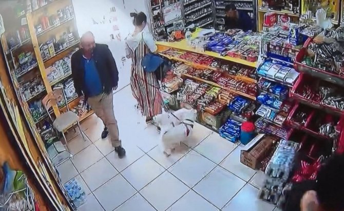 Marketteki köpeğe sebepsiz yere tekme attı, kamera kaydını izleyen genç kadının ağzı açık kaldı