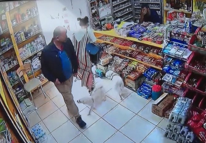 Marketteki köpeğe sebepsiz yere tekme attı, kamera kaydını izleyen genç kadının ağzı açık kaldı