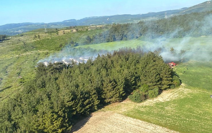 Orman yangınında 1 hektar alan tahrip oldu