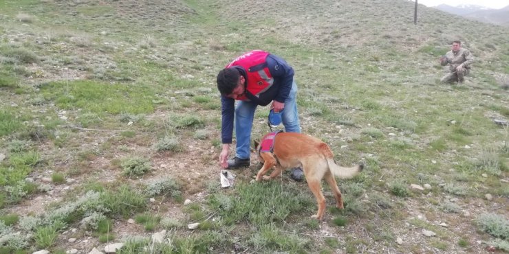Pancar toplarken kaybolan kadının yeri dronla tespit edildi