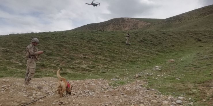 Pancar toplarken kaybolan kadının yeri dronla tespit edildi