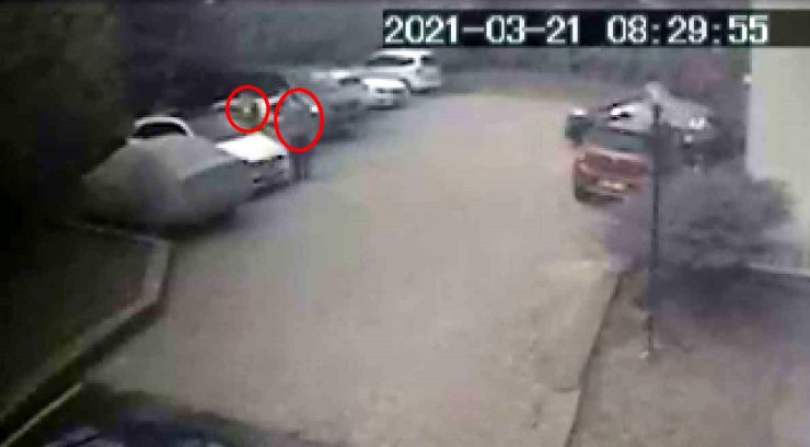 Park kavgasında iki kardeşe ceza 