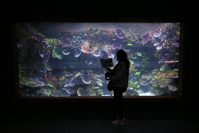 Tarihi vadilerin arasındaki 