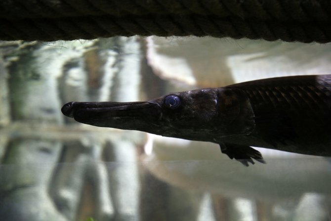 Tarihi vadilerin arasındaki 