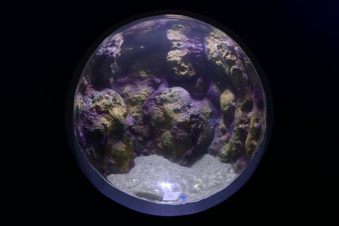 Tarihi vadilerin arasındaki 