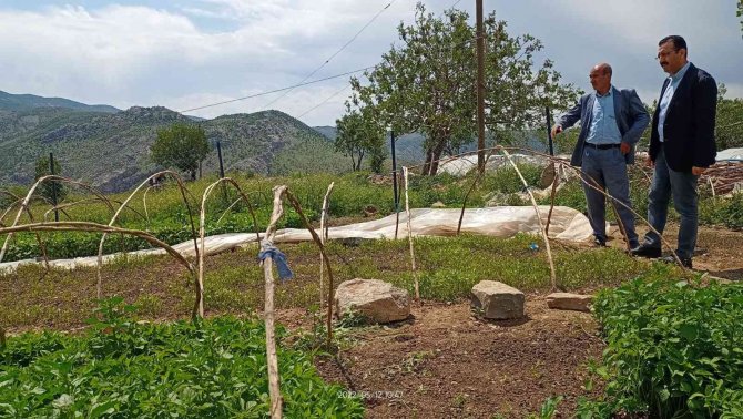 Dolu yağışı fideleri vurdu, ekipler hasar tespit çalışması yaptı