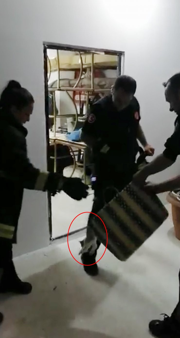 Su tankları arasında sıkışan kedi için seferber oldular