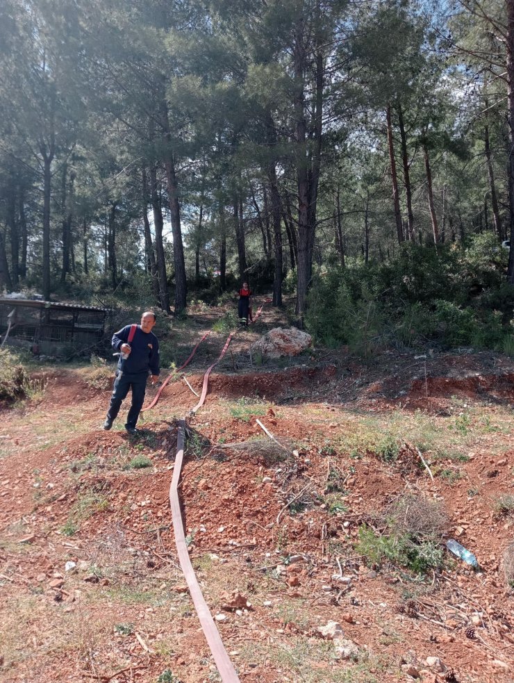 Çocukların oynadığı maytaplar, yangın çıkardı