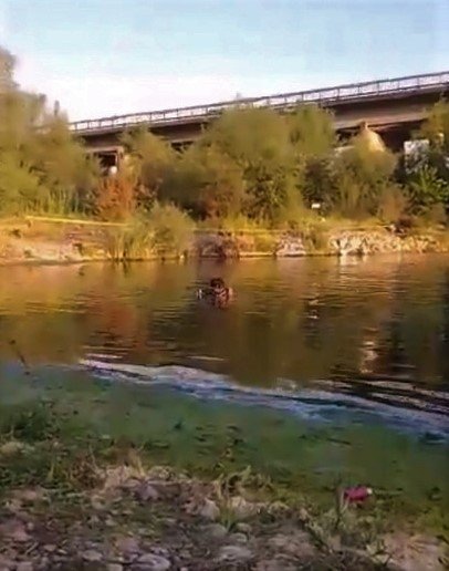 Dereye giren Hasan, boğuldu