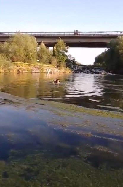 Dereye giren Hasan, boğuldu