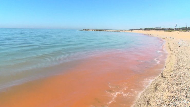 Karadeniz'de korkutan renk değişimi