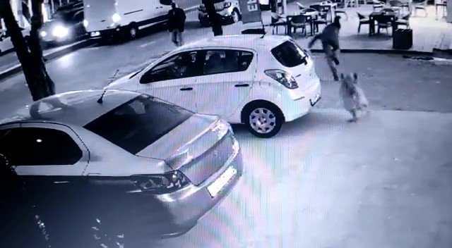 Konya'da köpeklerden kaçarken düşüp yaralandı