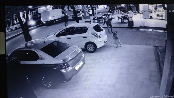 Konya'da köpeklerden kaçarken düşüp yaralandı