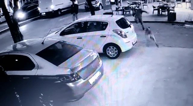 Konya'da köpeklerden kaçarken düşüp yaralandı