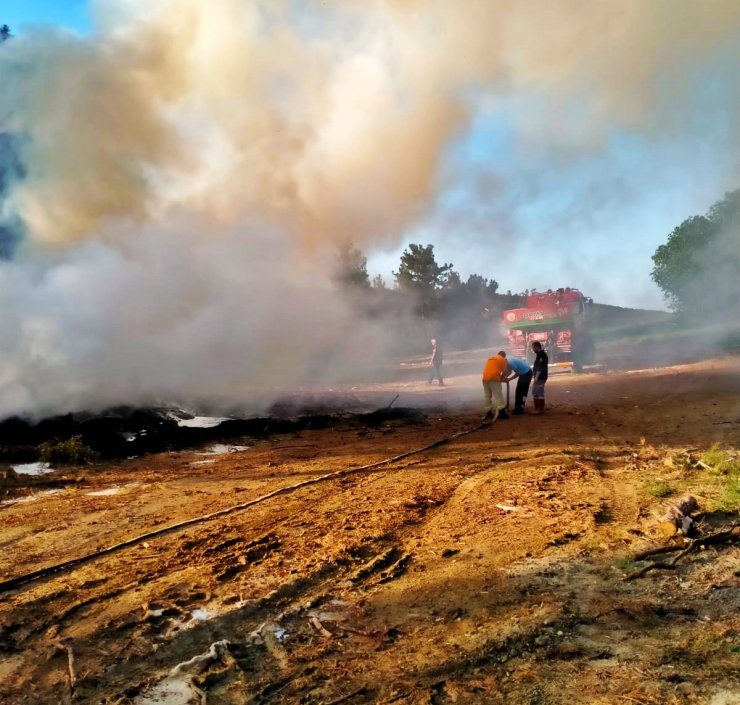 Seyreltme yapılan ormandaki iş makinesi alev alarak küle döndü